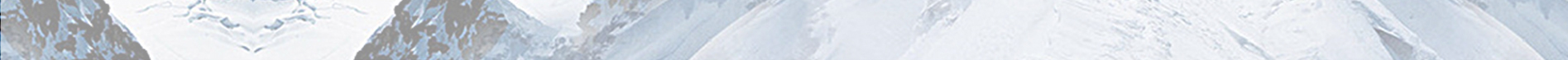 Alternate Text